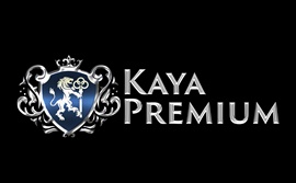 Kayapremium Casino Bölümü
